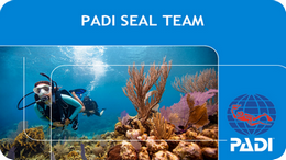Formation de plongée PADI Seal Team, 5 étoiles Dive Académy